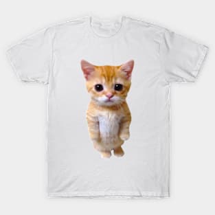 El Gato - Y2K UNISEX T-Shirt